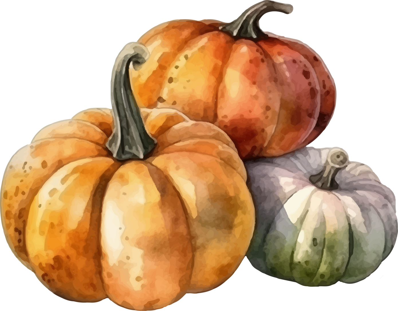 pumpkins-watercolor-illustration