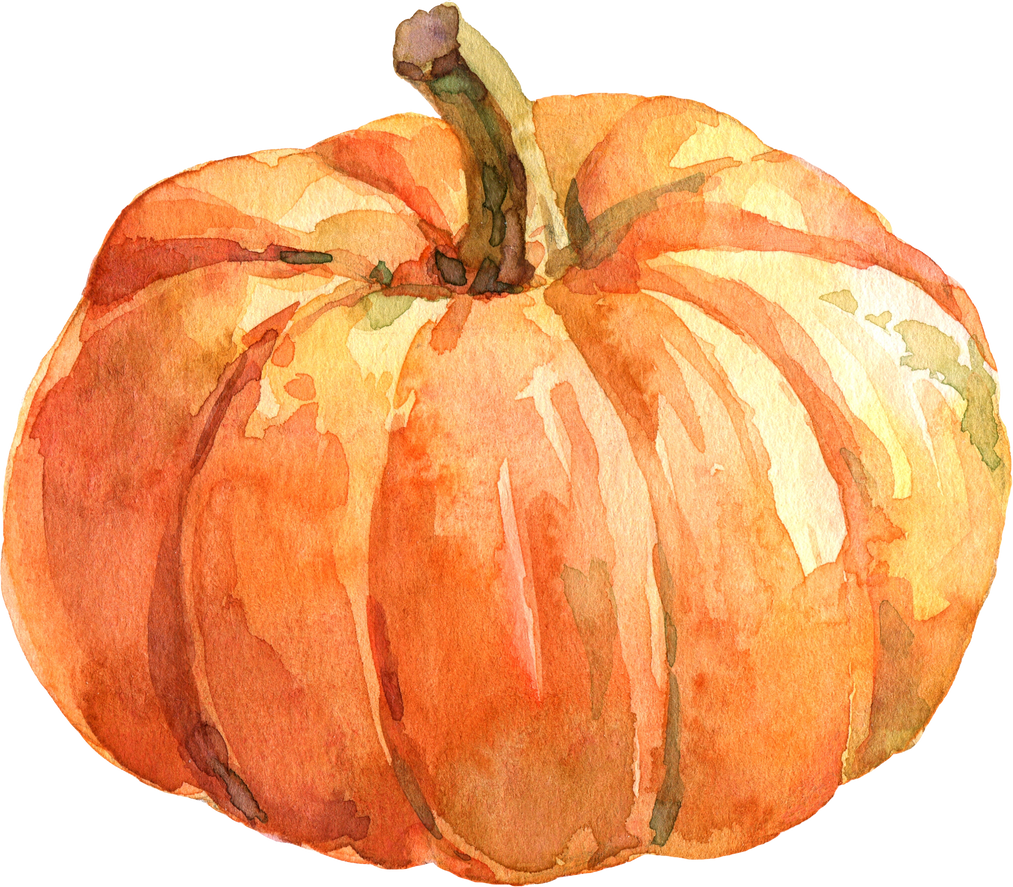 Watercolor Orange Pumpkin